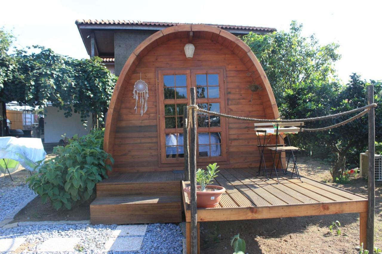 Casa Da Avo Miquinhas Hotel Pacos de Ferreira Ngoại thất bức ảnh